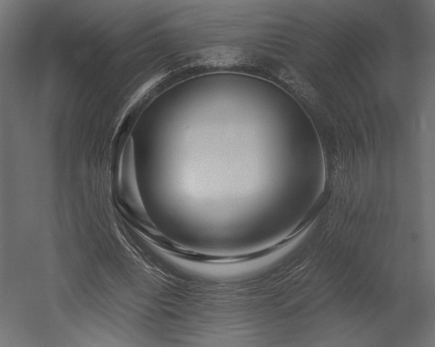 X0000052630440200507011324