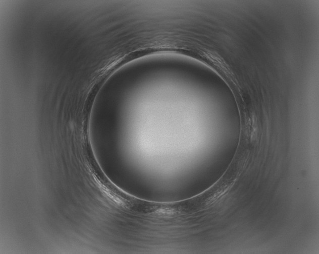 X0000052630441200507011324