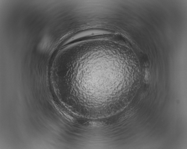 X0000052630442200507011324