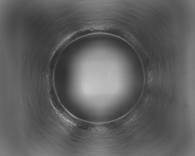 X0000052630444200507011324