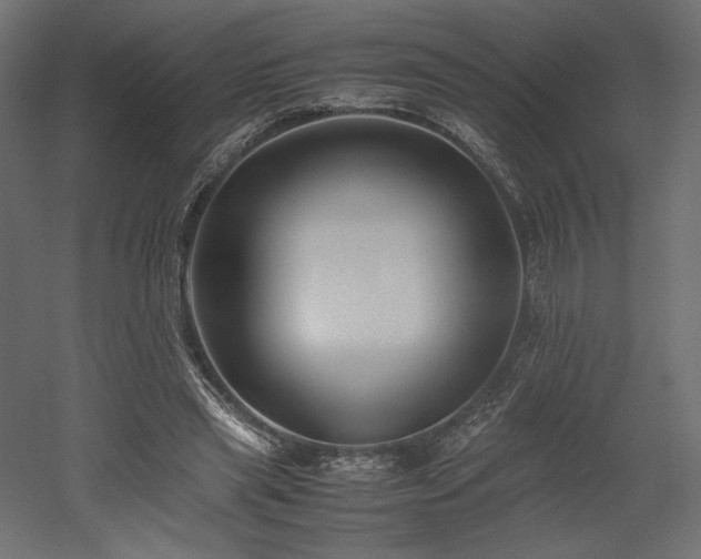 X0000052630445200507011324