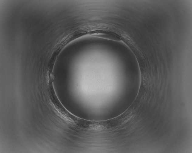 X0000052630454200507011324