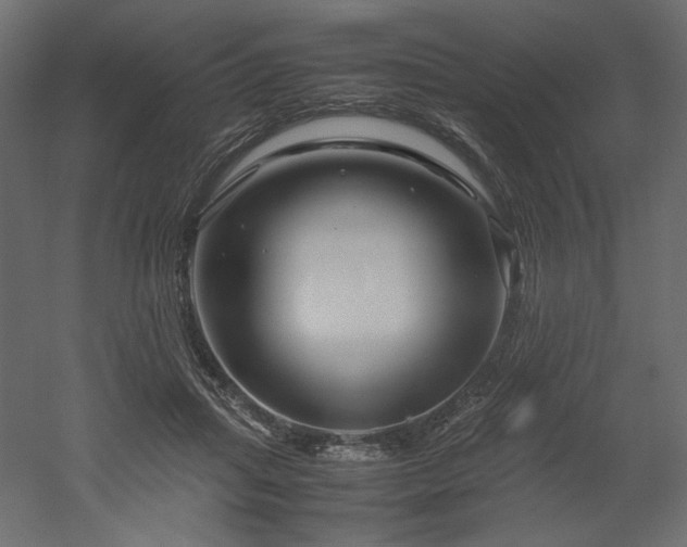 X0000052630455200507011324