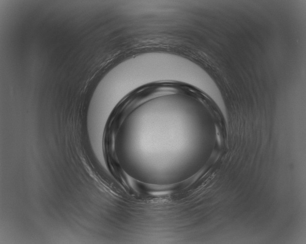 X0000052630456200507011324
