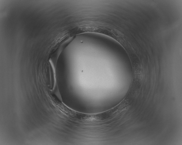 X0000052630460200507011324