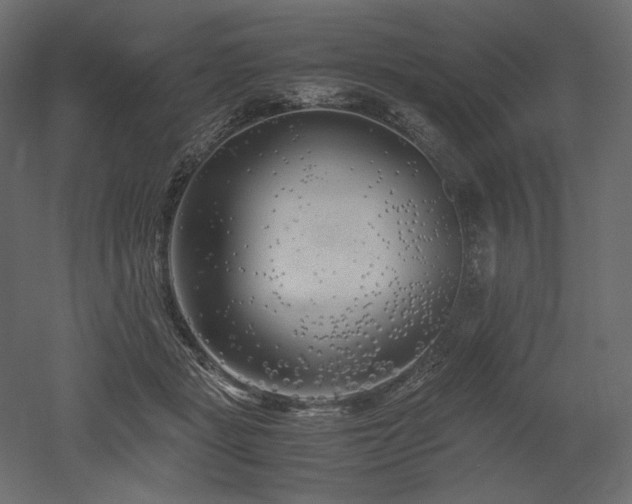 X0000052630461200507011324