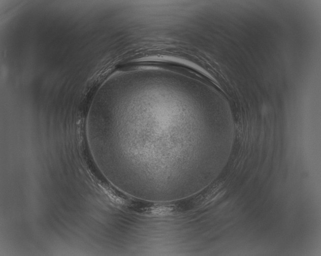 X0000052630462200507011324