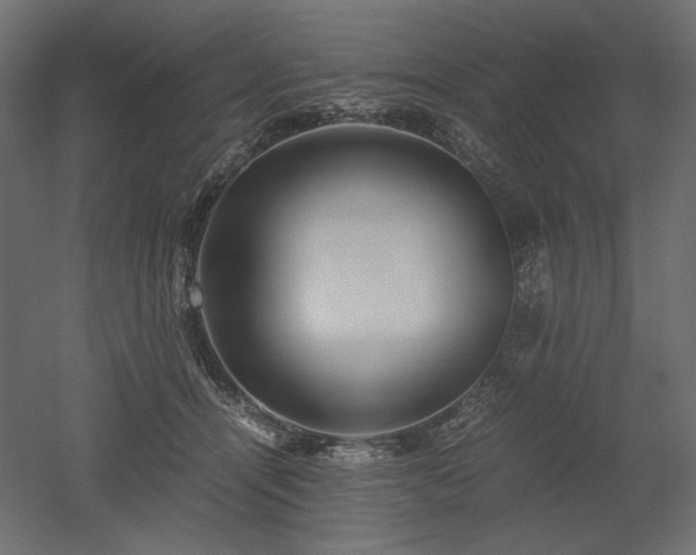 X0000052630464200507011324