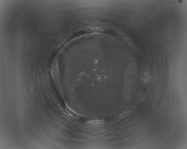 X0000052630465200507011324