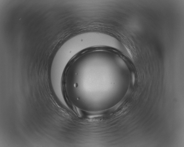 X0000052630466200507011324