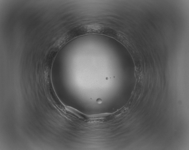 X0000052630468200507011325