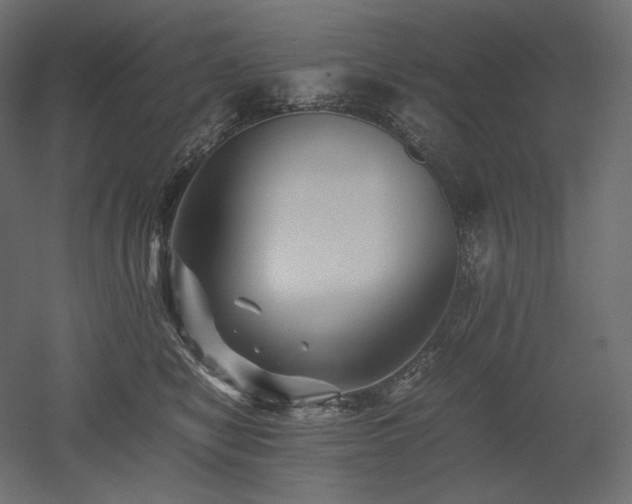 X0000052630470200507011325
