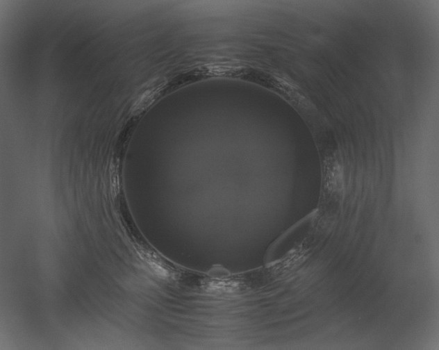 X0000052630471200507011325