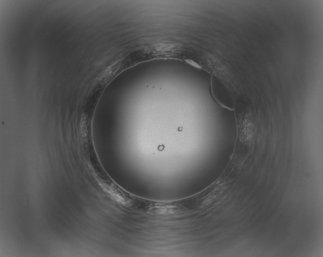 X0000052630472200507011325