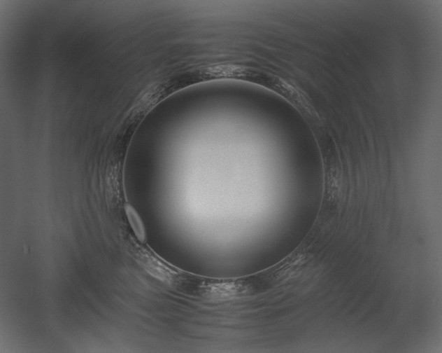 X0000052630473200507011325