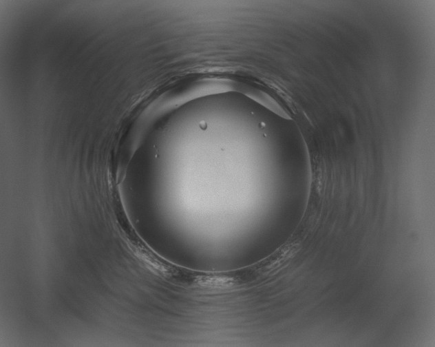 X0000052630476200507011325