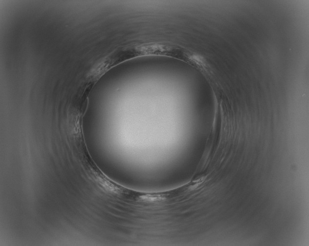 X0000052630477200507011325