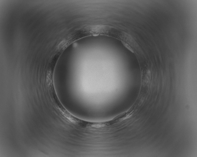 X0000052630478200507011325