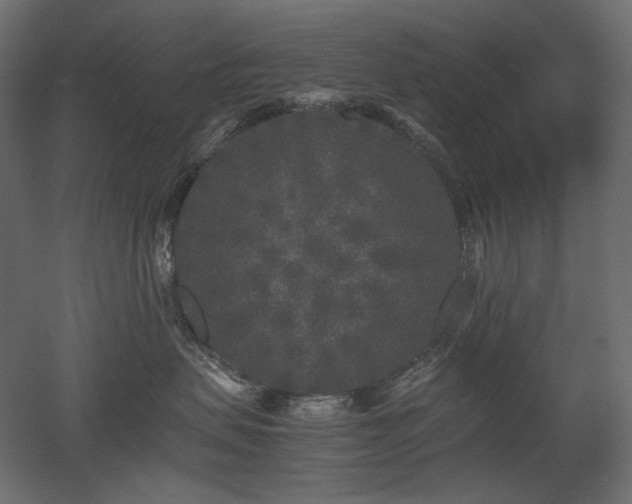 X0000052630479200507011325