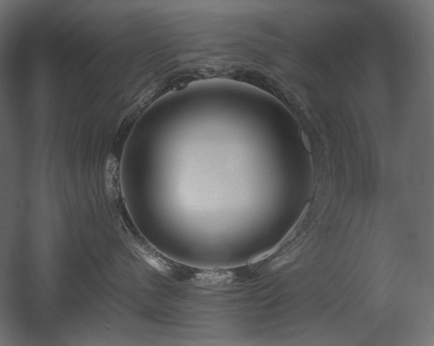 X0000052630480200507011325