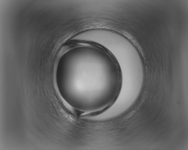 X0000052630481200507011324