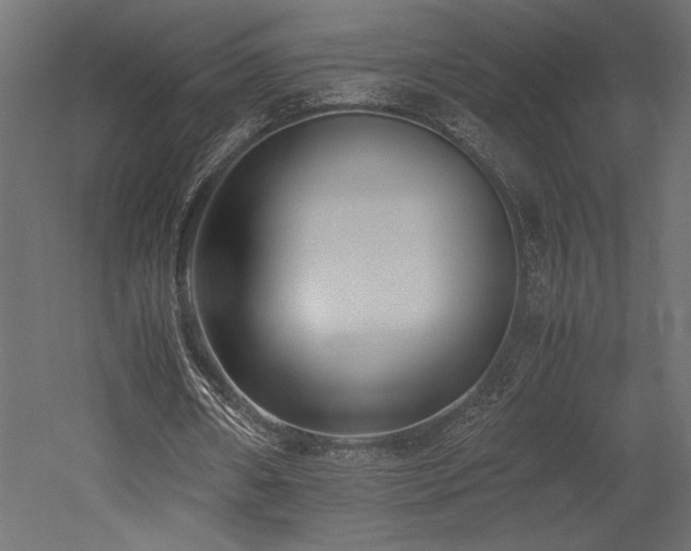 X0000052630482200507011324