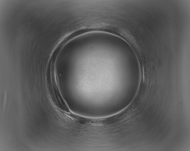 X0000052630483200507011324