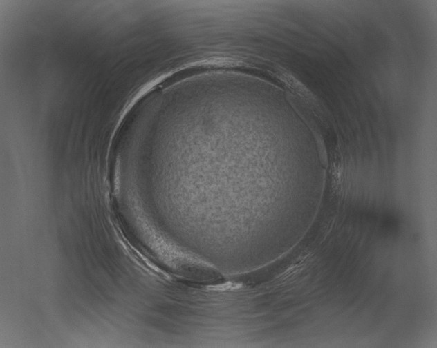 X0000052630484200507011324