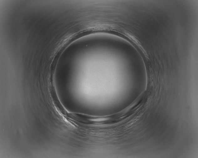 X0000052630485200507011324