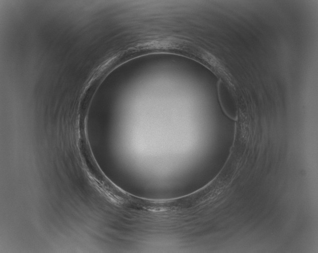 X0000052630486200507011324