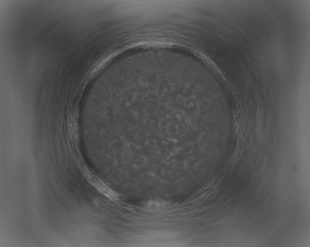 X0000052630487200507011324