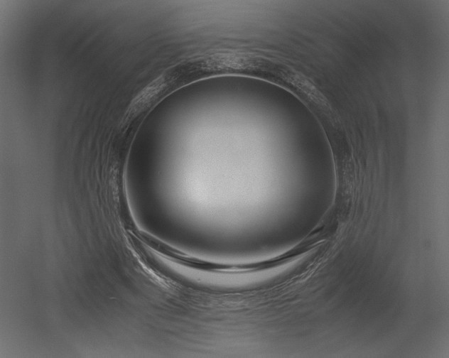 X0000052630489200507011324