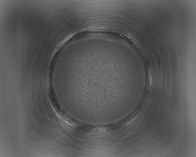 X0000052630492200507011324