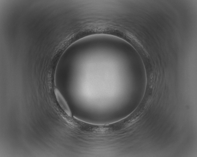 X0000052630497200507011324