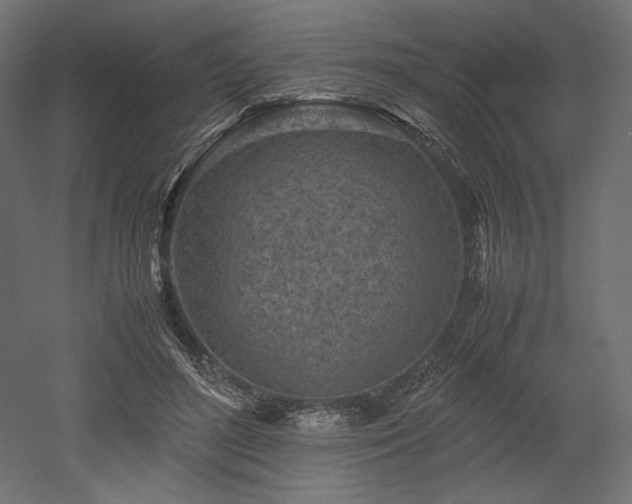 X0000052630500200507011324