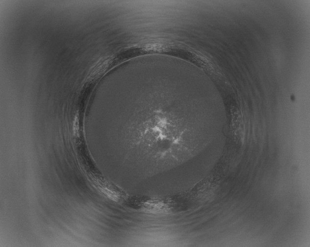 X0000052630502200507011324