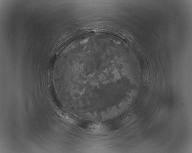 X0000052630503200507011324