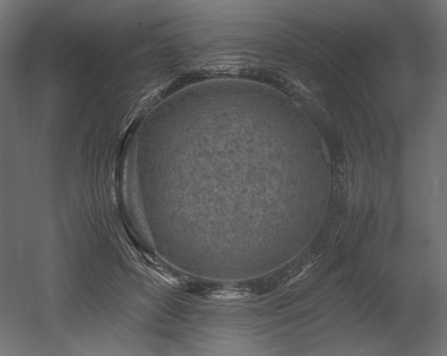 X0000052630504200507011324