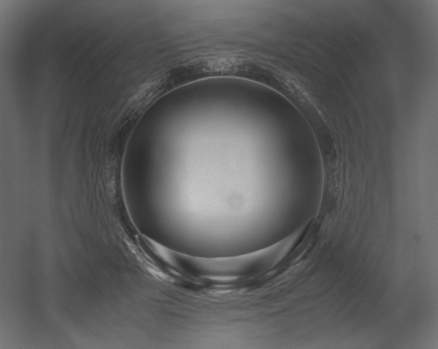X0000052630505200507011324