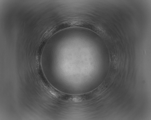 X0000052630506200507011323