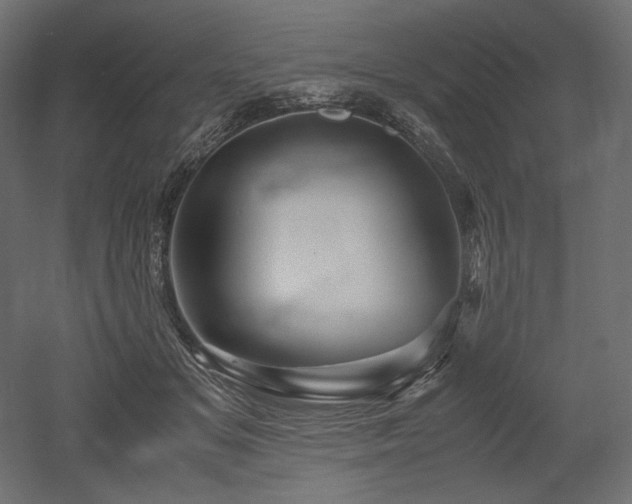 X0000052630509200507011323