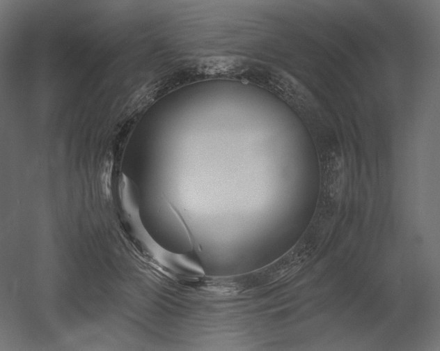 X0000052630510200507011323