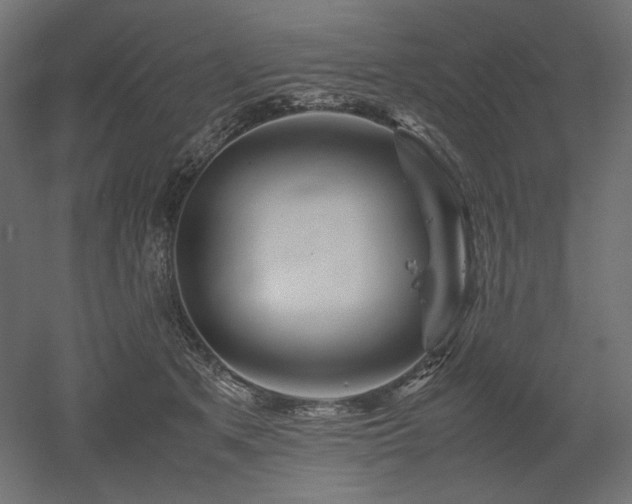 X0000052630513200507011323