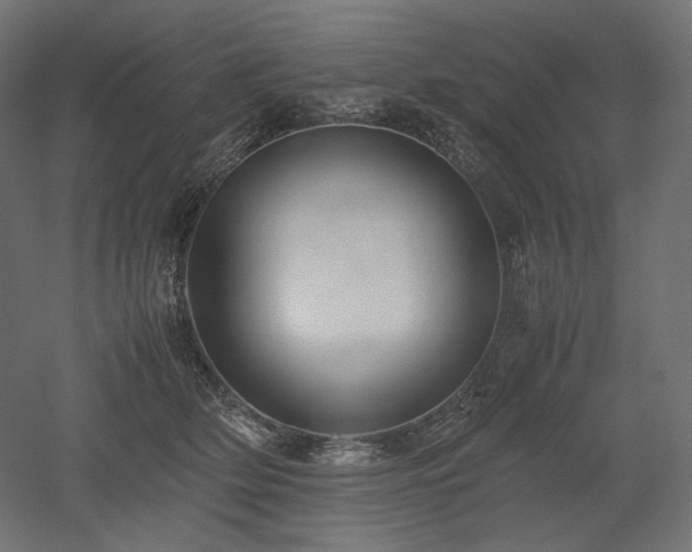 X0000052630514200507011323