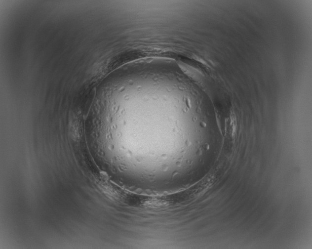 X0000052630515200507011323