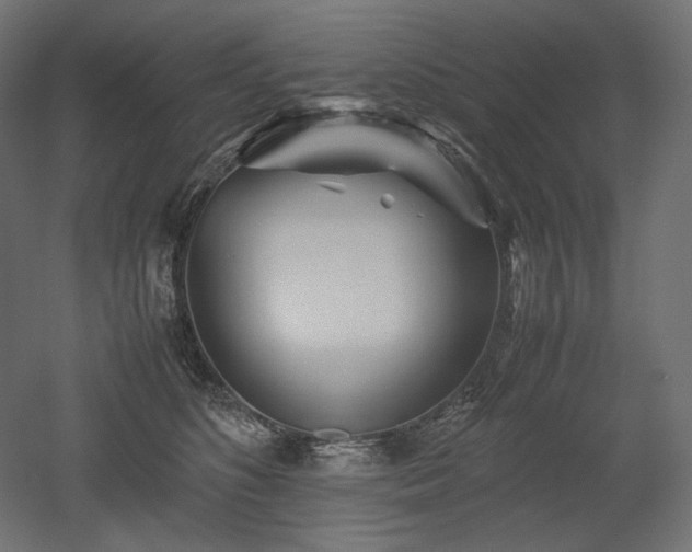 X0000052630516200507011323