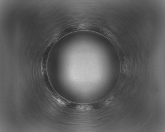 X0000052630520200507011323
