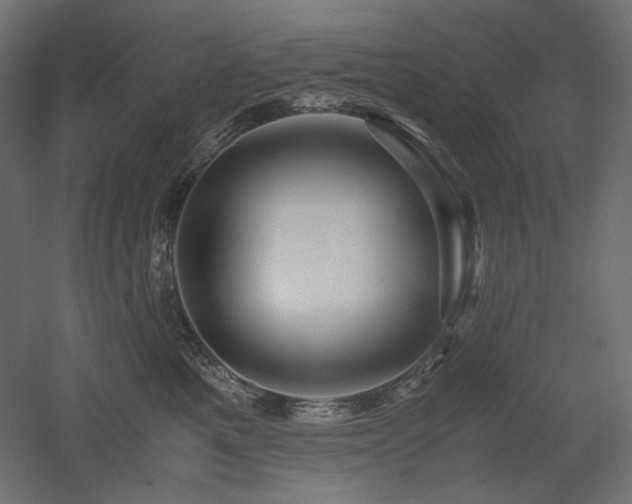 X0000052630521200507011323