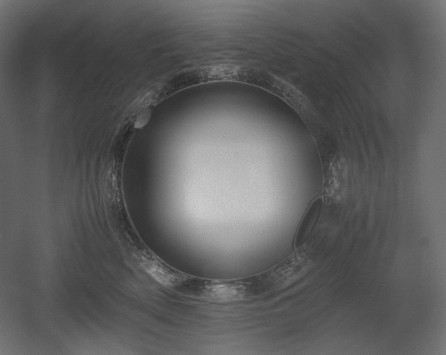 X0000052630522200507011323