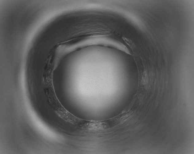 X0000052630524200507011323